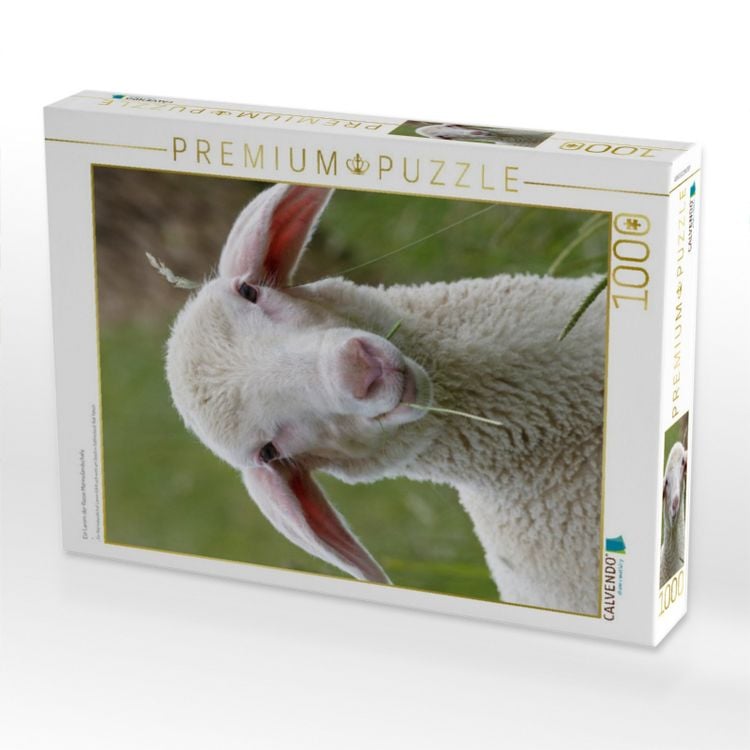 Produktbild: CALVENDO Puzzle Ein Lamm der Rasse Merinolandschafe | 1000 Teile Lege-Gr&ouml;&szlig;e 64x48cm Foto-Puzzle f&uuml;r gl&uuml;ckliche Stunden