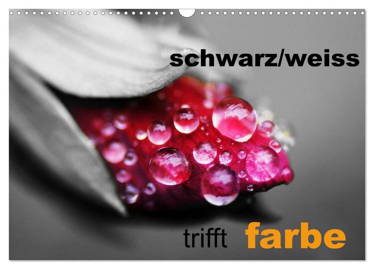 Produktbild: schwarz/wei&szlig; trifft farbe (Wandkalender 2026 DIN A3 quer), CALVENDO Monatskalender