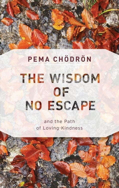 Produktbild: The Wisdom of No Escape