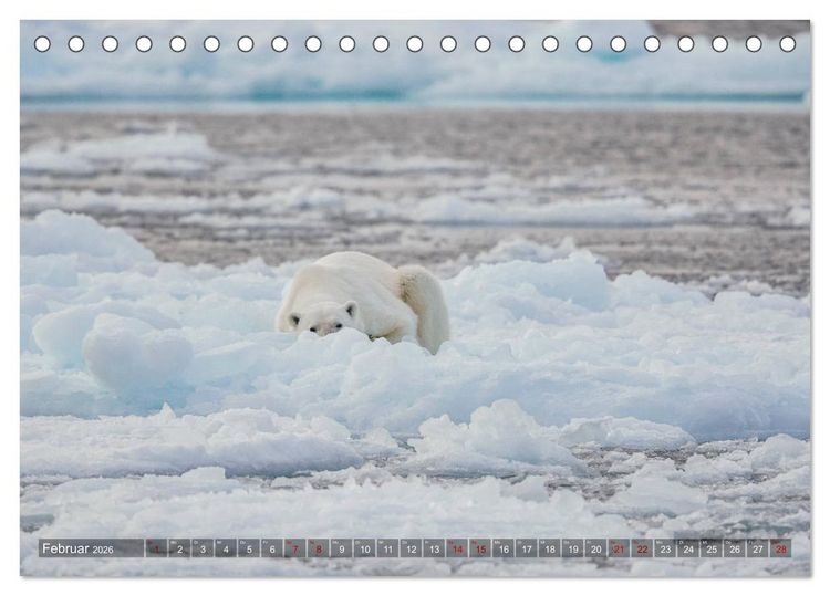 Produktbild: Svalbard-Momente (Tischkalender 2026 DIN A5 quer), CALVENDO Monatskalender