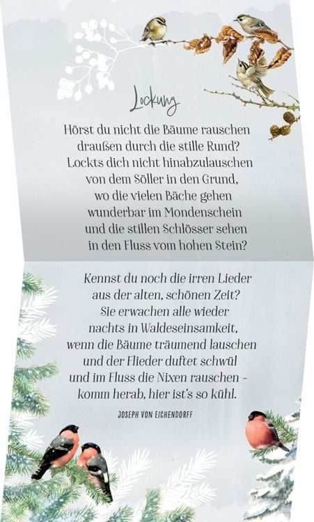 Produktbild: Zauberhafte Weihnachtszeit, Coffee-Table-Adventskal.(Bastin)