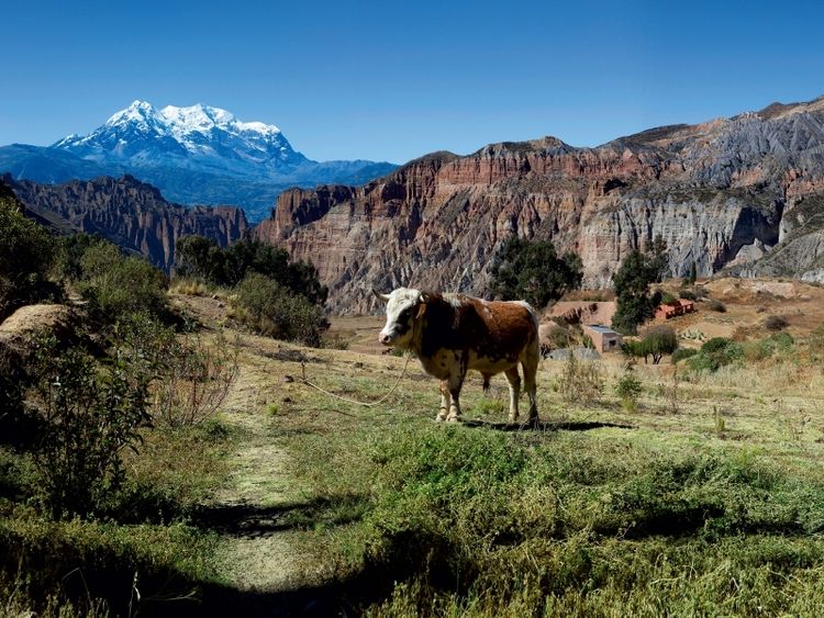 Produktbild: CALVENDO Puzzle Canyon de Palca, 3.465 m &uuml;. M., Bolivien | 1000 Teile Lege-Gr&ouml;&szlig;e 64x48cm Foto-Puzzle f&uuml;r gl&uuml;ckliche Stunden