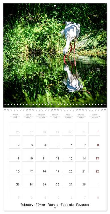 Produktbild: Whispers of Wings (Wall Calendar 2026 12 &times; 12 Inch) CALVENDO 12 Month Wall Calendar