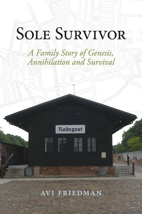 Produktbild: Sole Survivor