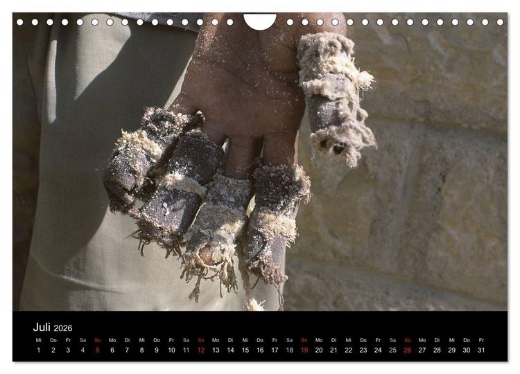 Produktbild: Faszination Salz (Wandkalender 2026 DIN A4 quer), CALVENDO Monatskalender