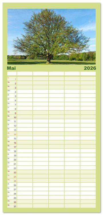 Produktbild: Familienplaner 2026 - Die Buche: 12 Baumportr&auml;ts mit 5 Spalten (Wandkalender, 21 x 45 cm) CALVENDO