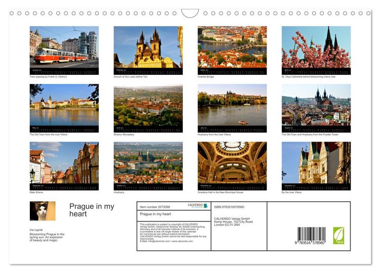 Produktbild: Prague in my heart (Wall Calendar 2026 DIN A3 landscape), CALVENDO 12 Month Wall Calendar