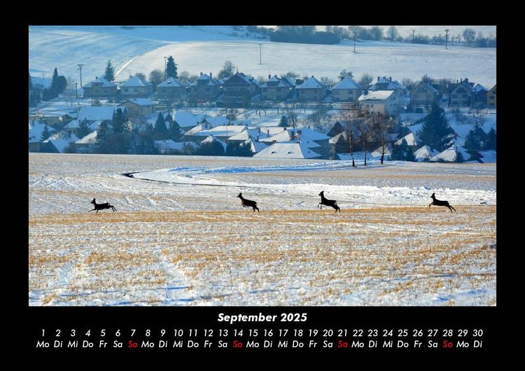 Produktbild: Blick in die Natur 2025 Fotokalender DIN A3