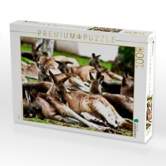 Produktbild: CALVENDO Puzzle K&auml;ngurus | 1000 Teile Lege-Gr&ouml;&szlig;e 64x48cm Foto-Puzzle f&uuml;r gl&uuml;ckliche Stunden