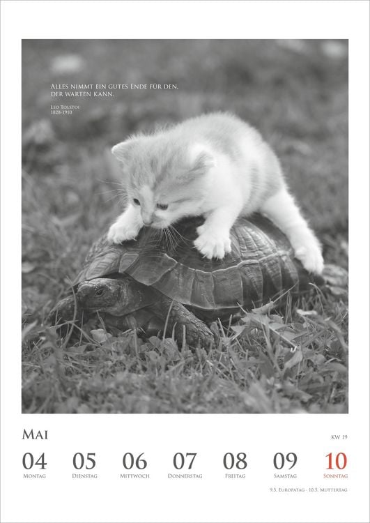 Produktbild: Der poetische Katzenkalender 2027