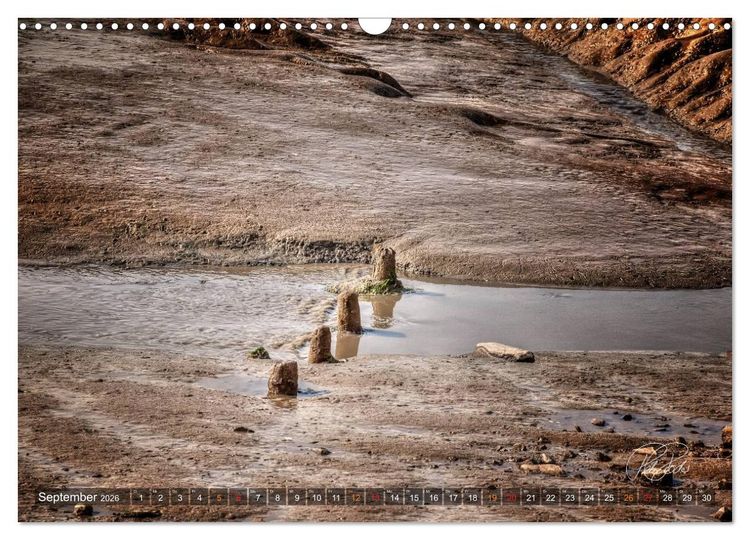 Produktbild: Friesland - Watt und Nordsee / CH-Version (Wandkalender 2026 DIN A3 quer), CALVENDO Monatskalender