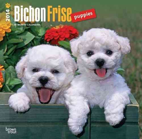 Produktbild: Bichon Frise Puppies 2014 Wall Calendar