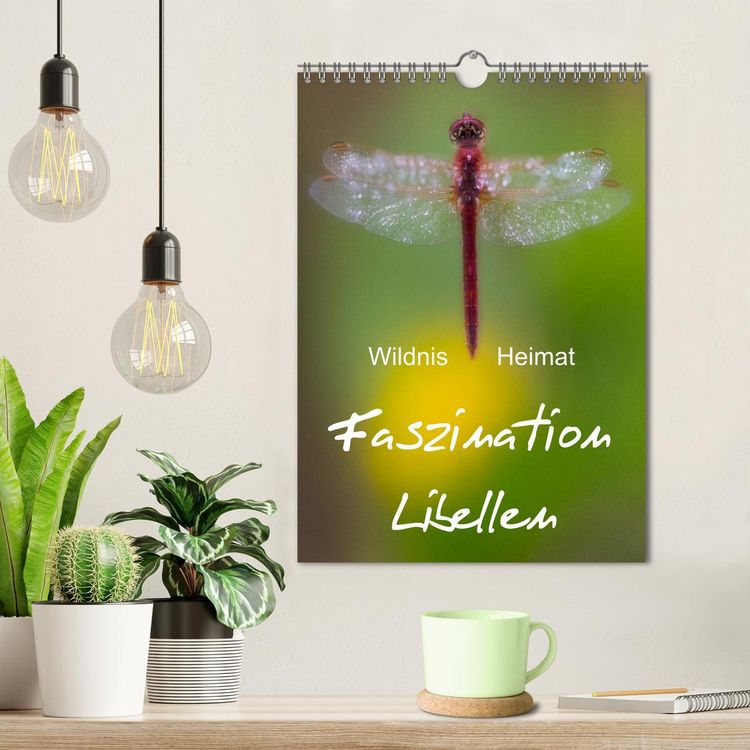 Produktbild: Faszination Libellen - Wildnis Heimat (Wandkalender 2026 DIN A4 hoch), CALVENDO Monatskalender
