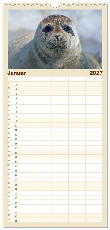 Produktbild: Familienplaner 2027 - Das Leben der Robben mit 5 Spalten (Wandkalender, 21 x 45 cm) CALVENDO