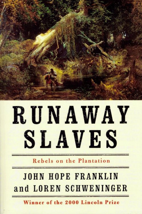 Produktbild: Runaway Slaves