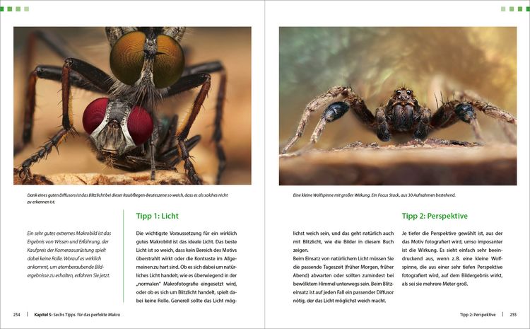 Produktbild: Extreme Wildlife-Makrofotografie