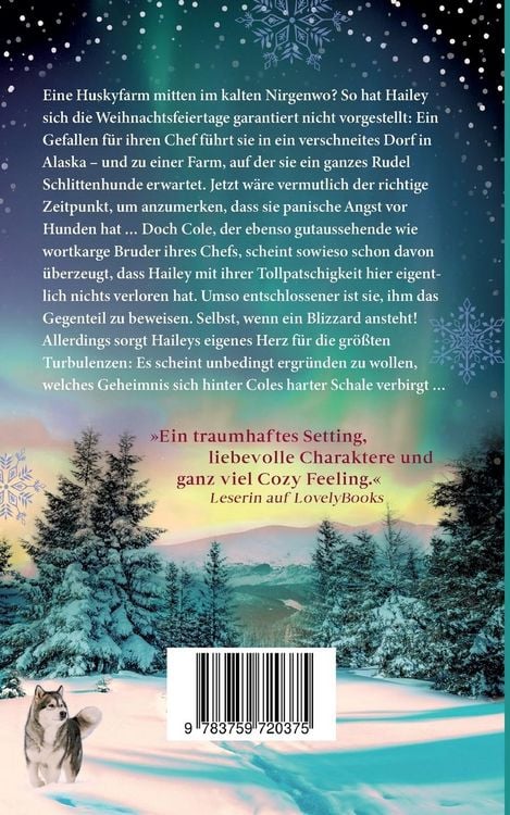 Produktbild: Nordlichter &uuml;ber Alaska