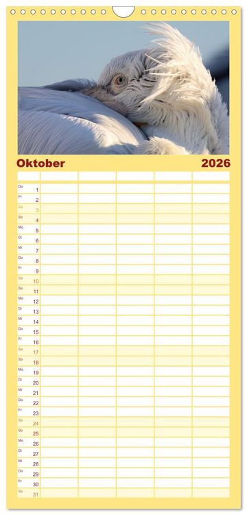 Produktbild: Familienplaner 2026 - Krauskopfpelikane mit 5 Spalten (Wandkalender, 21 x 45 cm) CALVENDO