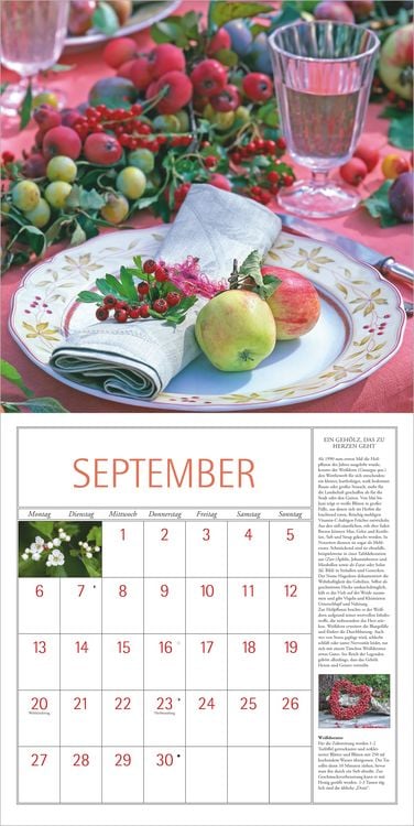 Produktbild: DuMonts Kr&auml;uter Kalender 2027