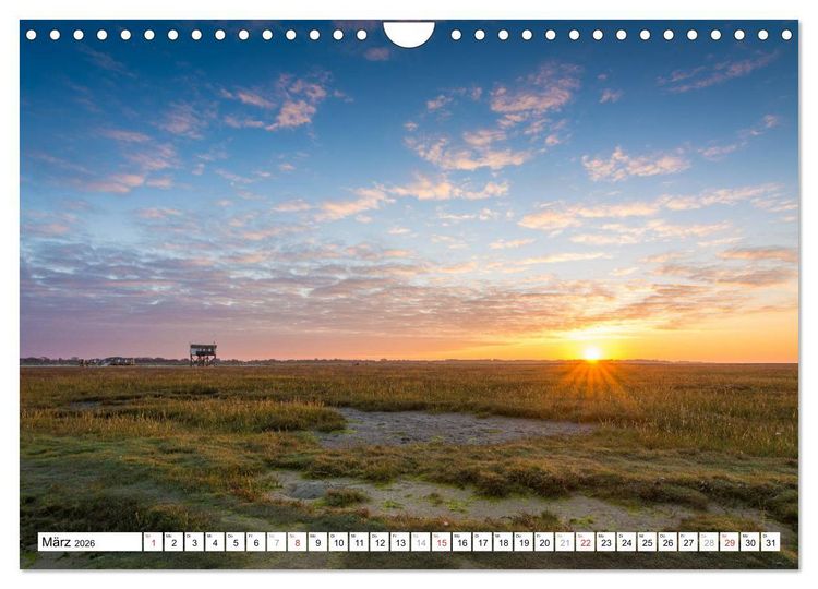 Produktbild: Eiderstedt - Willkommen am Watt (Wandkalender 2026 DIN A4 quer), CALVENDO Monatskalender