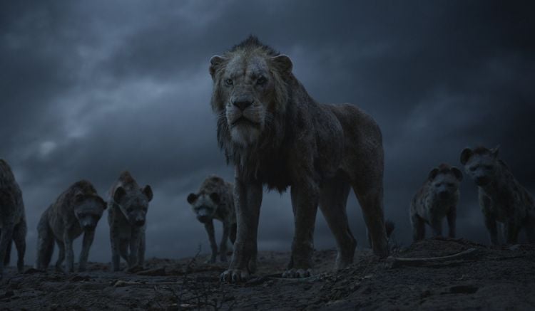 Produktbild: Der K&ouml;nig der L&ouml;wen