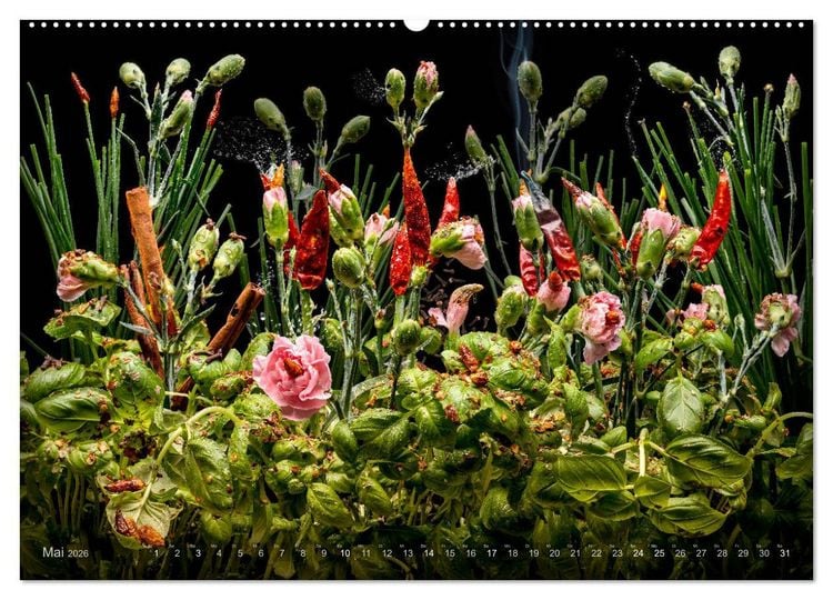 Produktbild: Flora miracula - Die wundersame Welt des Fotografen Olaf Bruhn (hochwertiger Premium Wandkalender 2026 DIN A2 quer), Kunstdruck in Hochglanz