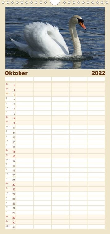 Produktbild: Das faszinierende Leben der Schw&auml;ne - Familienplaner hoch (Wandkalender 2022 , 21 cm x 45 cm, hoch)