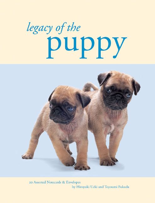 Produktbild: Legacy of the Puppy Notecards with Envelope