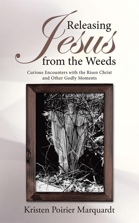 Produktbild: Releasing Jesus from the Weeds