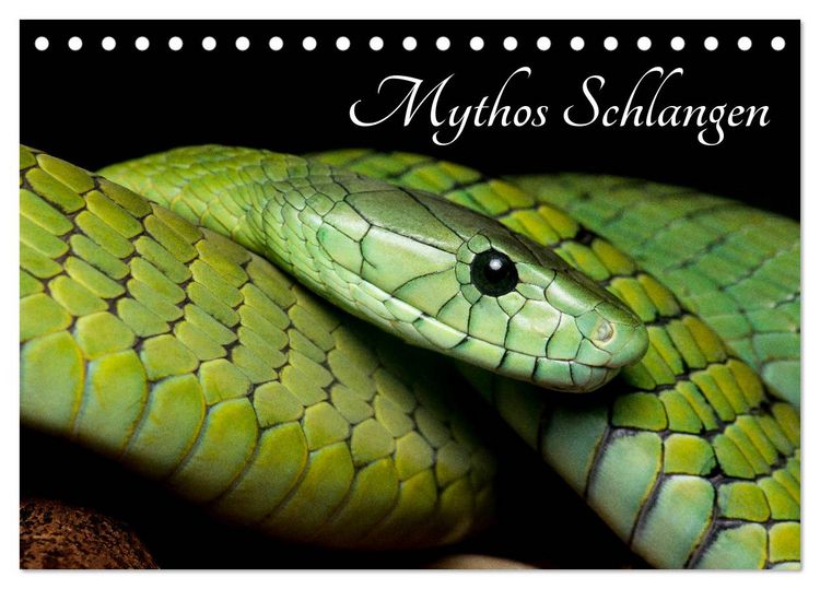 Produktbild: Mythos Schlangen (Tischkalender 2026 DIN A5 quer), CALVENDO Monatskalender