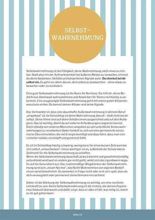Produktbild: Resilienz - dein Weg zur gelassenen Lehrkraft