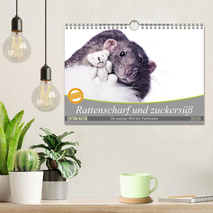 Produktbild: Rattenscharf und zuckers&uuml;&szlig; (Wandkalender 2026 DIN A4 quer), CALVENDO Monatskalender