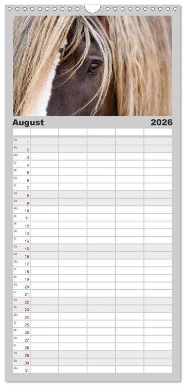 Produktbild: Familienplaner 2026 - Pferde - im Galopp durch's Jahr mit 5 Spalten (Wandkalender, 21 x 45 cm) CALVENDO