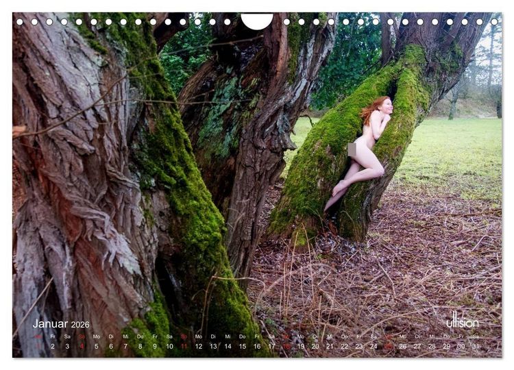 Produktbild: Lieblingsb&auml;ume - eins mit der Natur (Wandkalender 2026 DIN A4 quer), CALVENDO Monatskalender