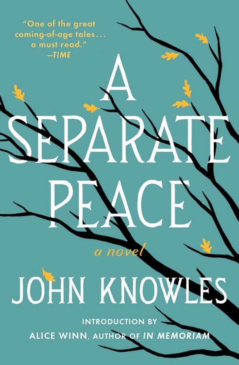 Produktbild: A Separate Peace
