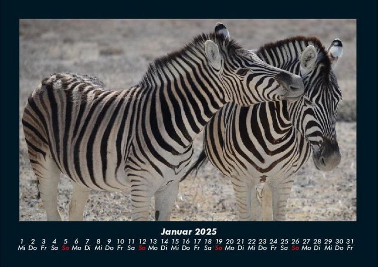 Produktbild: Zebrazauber 2025 Fotokalender DIN A4