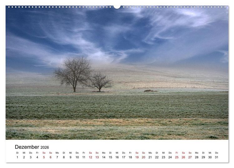 Produktbild: B&auml;ume - Wunder der Natur (hochwertiger Premium Wandkalender 2026 DIN A2 quer), Kunstdruck in Hochglanz