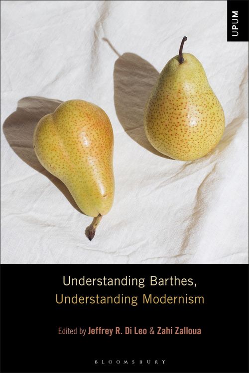 Produktbild: Understanding Barthes, Understanding Modernism