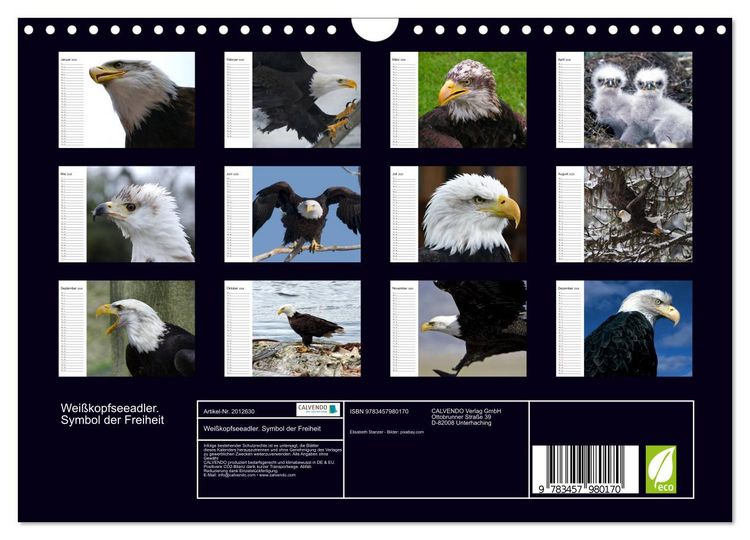 Produktbild: Wei&szlig;kopfseeadler. Symbol der Freiheit (Wandkalender 2026 DIN A4 quer), CALVENDO Monatskalender