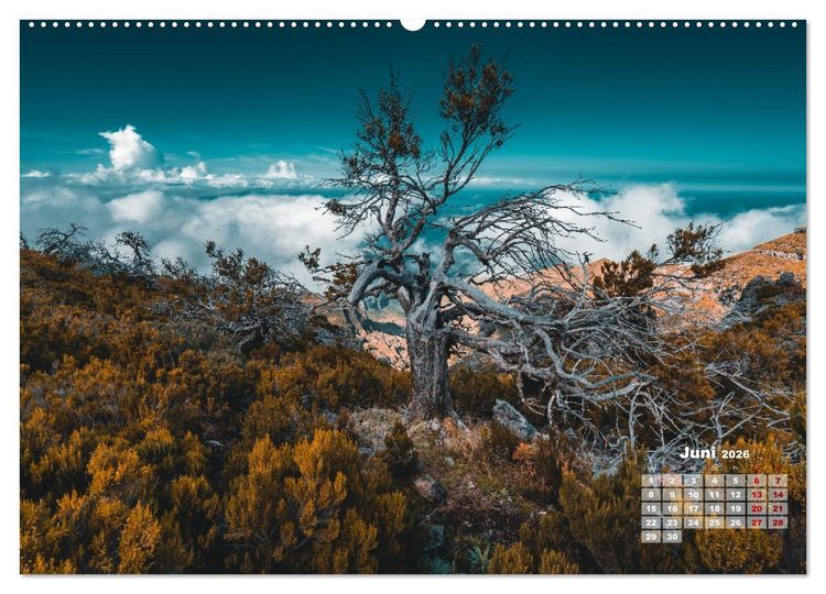 Produktbild: Trauminsel Madeira (hochwertiger Premium Wandkalender 2026 DIN A2 quer), Kunstdruck in Hochglanz