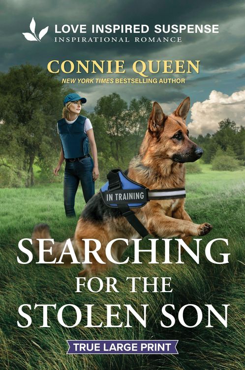 Produktbild: Searching for the Stolen Son
