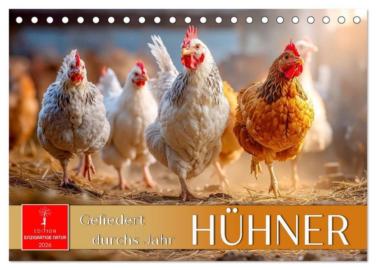 Produktbild: H&uuml;hner - gefiedert durchs Jahr (Tischkalender 2026 DIN A5 quer), CALVENDO Monatskalender