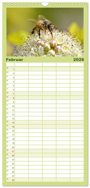 Produktbild: Familienplaner 2026 - Hummeln und Bienen mit 5 Spalten (Wandkalender, 21 x 45 cm) CALVENDO