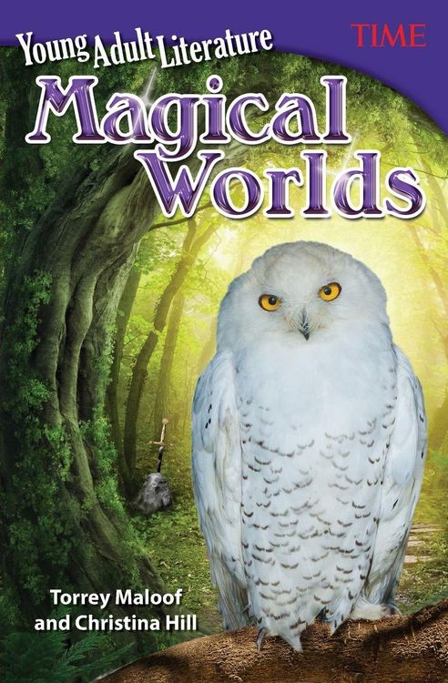 Produktbild: Young Adult Literature