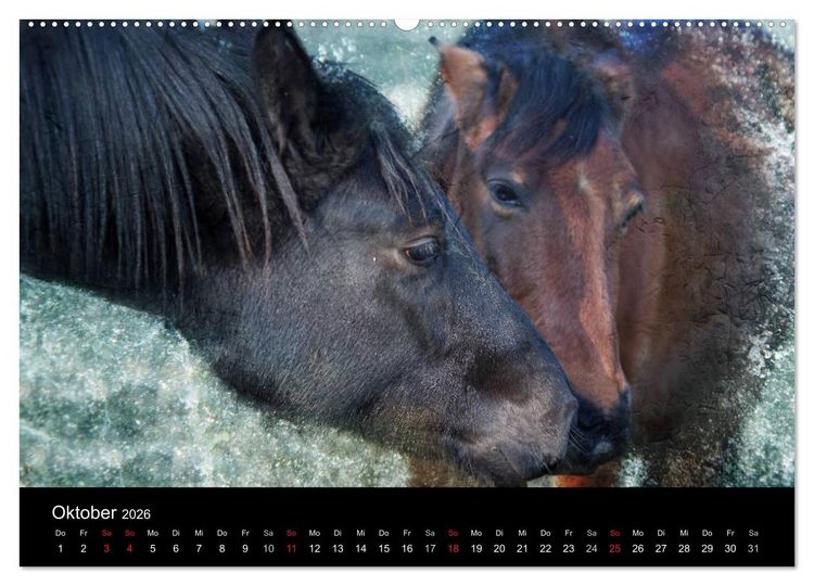 Produktbild: Pferde zum Tr&auml;umen (Wandkalender 2026 DIN A2 quer), CALVENDO Monatskalender