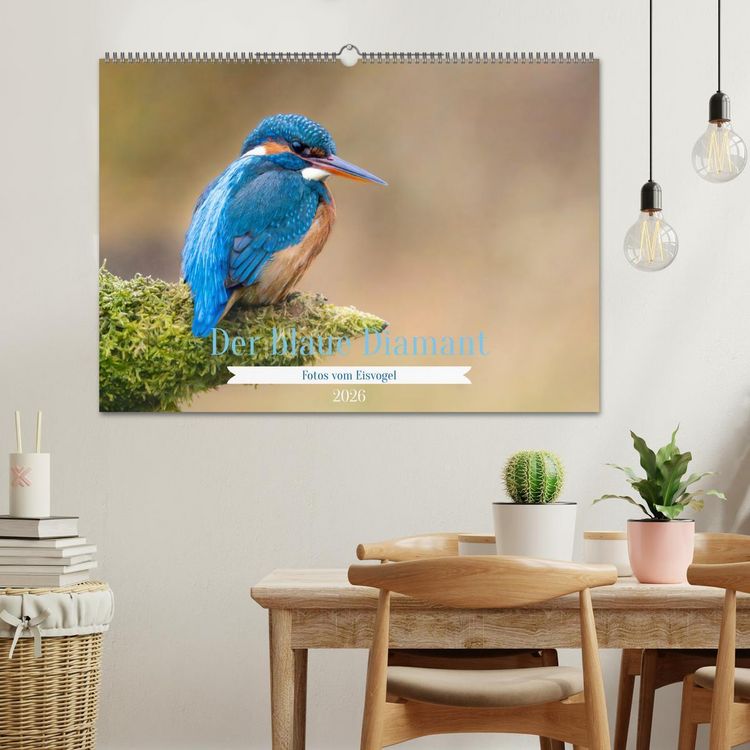 Produktbild: Der blaue Diamant - Fotos vom Eisvogel (Wandkalender 2026 DIN A2 quer), CALVENDO Monatskalender