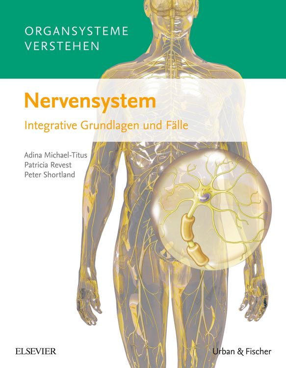 Produktbild: Organsysteme verstehen: Nervensystem