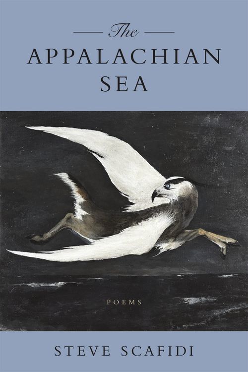 Produktbild: The Appalachian Sea