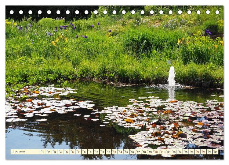 Produktbild: Der Hermannshof Das Parkjuwel in Weinheim an der Bergstra&szlig;e (Tischkalender 2026 DIN A5 quer), CALVENDO Monatskalender