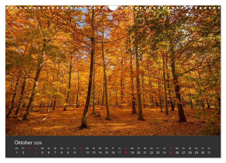 Produktbild: Mecklenburg-Vorpommern (Wandkalender 2026 DIN A3 quer), CALVENDO Monatskalender